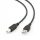  Gembird CCP-USB2-AMBM-6 USB-Kabel schwarz 1,8 m