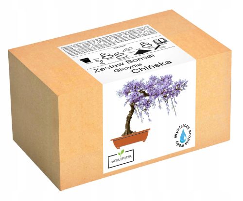  Bonsai-Anzuchtset Chinesische Glyzinie