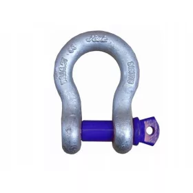 Schäkel Omega Schäkel 4,75T Einschraubbolzen BW 4750kg