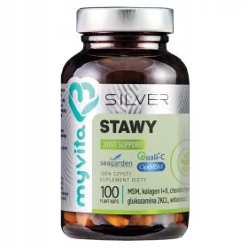   STAWY Pro Complex – Unterstützung für Gelenke mit natürlichen Inhaltsstoffen, 100 Kapseln