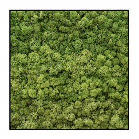  Presto Garten-Hydrogel 1kg