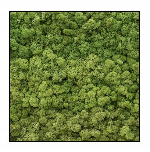  Presto Garten-Hydrogel 1kg