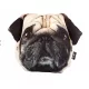  3D-KISSEN, Kissen mit goldenem Hund, Geschenk, Geschenk