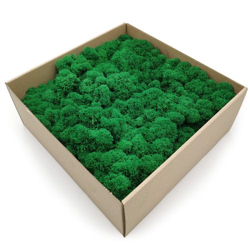 Dekoratives Moos Dekomoos im 500g Karton, 35 x 35cm