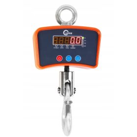 Bielsko Wagi Hakenwaage 1000 kg x 500 g