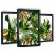 Bilder an der Wand 3 Gemälde im Wohnzimmer Tropical Monstera 2 130x63