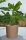  Kerd Blumentopf 27 cm x 28,5 x 27 cm Durchmesser 28,5 cm Juteschnur, Jute, Kunststoff weiß, schwarz, natur, Braun- und Beigetöne, mehrfarbig