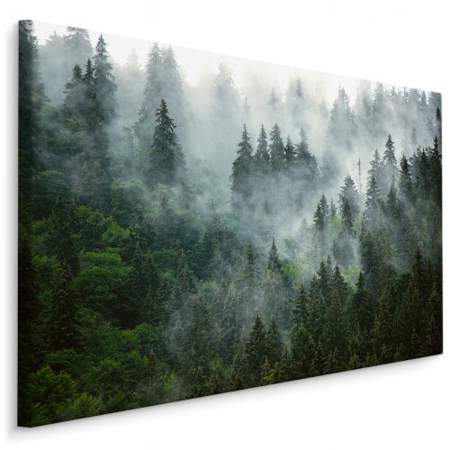 Bild für das Wohnzimmer Wald im Nebel 3D LANDSCHAFT 120x80