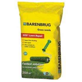  Barenbrug Renovierungsgras 250 m² 5 kg