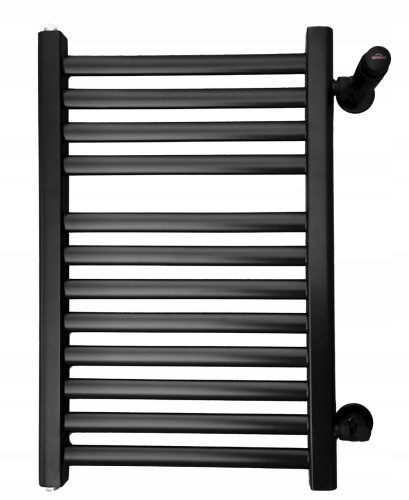  Regnis 304 W Wasserbadheizkörper 440 x 675 mm schwarz