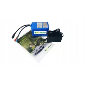  Li-Ion LiPower Akku 11Ah 12V Ladegerät 2A