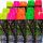 Biodur Acryl-Holzfarbe 0,5 l