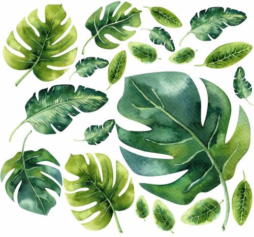  Wandaufkleber mit Monstera-Blättern, 50 x 100 cm