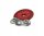 3M Cubitron Schleifpad mit M14 125 mm Rippen