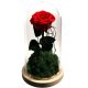 Echte ewige Rose im Glas L 24cm ROTER Wald