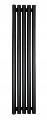 Regnis Wasserbadheizkörper 428 W 330 x 1000 mm schwarz