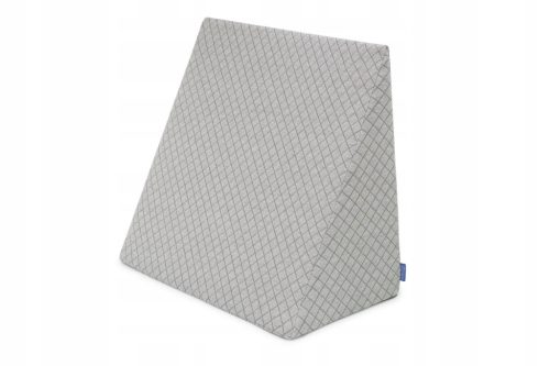  Badum Kissen 50 x 60 x 30 grau