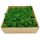  Krabbenmoos Alpine Premium 500g Netto