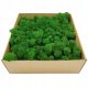  Krabbenmoos Alpine Premium 500g Netto
