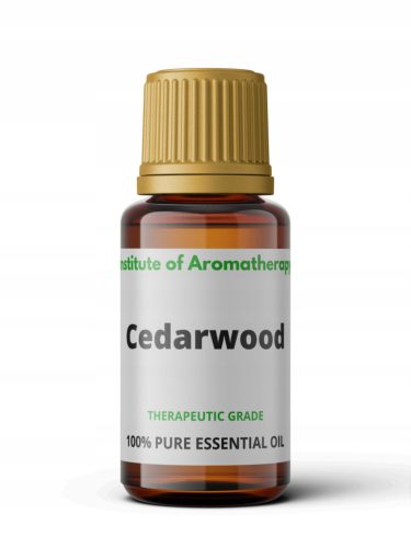 Essentielle Öle Ätherisches Zedernöl Institut für Aromatherapie 5 ml