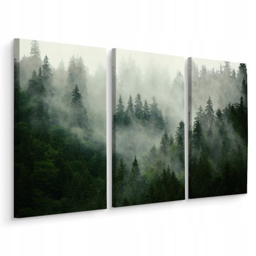 Bilder an der Wand Triptychon-Wandbild WALD IM NEBEL 3D-Dekor 120x80