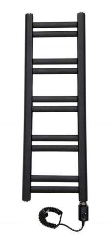 Regnis elektrischer Badheizkörper 400 W 300 x 900 mm schwarz