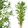 Künstliche Blumen und Früchte Künstlicher Bambusbaum 220 cm
