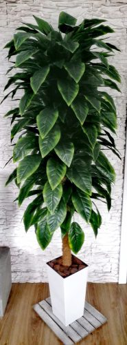 Künstliche Blumen und Früchte Künstlicher Ficus Ficusbaum 175 cm! Schön!