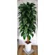 Künstliche Blumen und Früchte Künstlicher Ficus Ficusbaum 175 cm! Schön!
