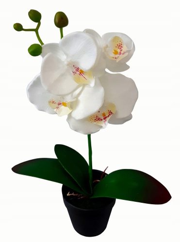 Künstliche Blumen und Früchte KÜNSTLICHE ORCHIDEE Orchideenblüte ORCHIDEE 38cm
