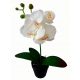 Künstliche Blumen und Früchte KÜNSTLICHE ORCHIDEE Orchideenblüte ORCHIDEE 38cm