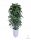 Künstliche Blumen und Früchte Künstlicher Ficus Benjamina-Baum in einem weißen Topf