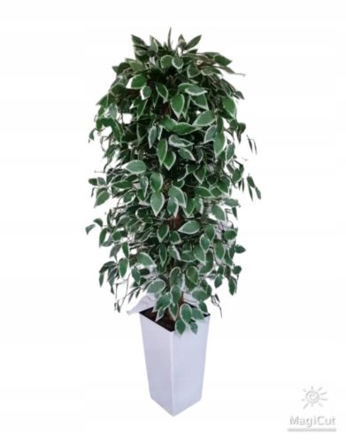 Künstliche Blumen und Früchte Künstlicher Ficus Benjamina-Baum in einem weißen Topf