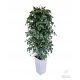 Künstliche Blumen und Früchte Künstlicher Ficus Benjamina-Baum in einem weißen Topf
