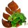 BLUMENSTÄNDER AUS HOLZ Hängender Blumenständer aus Holz LOFT an der Wand MONSTERA