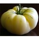  100 Kapseln White Beefsteak groß 1kg!!! Tomatensamen