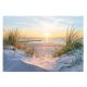 Fototapete FÜR DAS WOHNZIMMER 3D Strand Meer Dünen 368x254