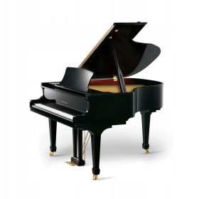  der beeindruckende digitale Flügel Pearl River Excellent