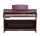 Pearl River Master multifunktionales Digitalpiano