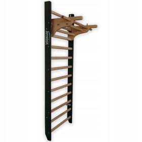  JumpBox Trainingsleiter 250 cm x 80 cm