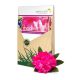  RHODODENDRON MYCORRHIZA - DAS EINZIGE WAHRE ERM
