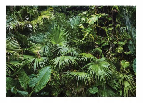 Fototapete DARK JUNGLE Tropischer Wald 368x254