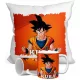  DRAGON BALL BECHER + KISSEN + BELIEBIGER NAMEN