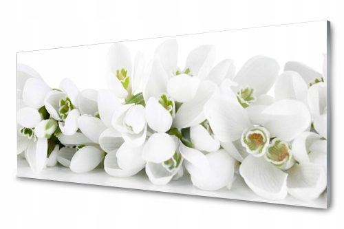 Glasscheibe 50 x 125 x 4 mm, poliertes Hartglas