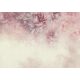 FOTOTAPETE BLUMEN PFINGSTROSEN 400x280 bC-1026-ab