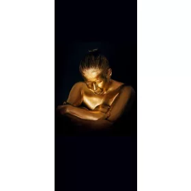  Hejan Wasserbadheizkörper 990 W 515 x 1250 mm