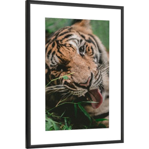 Bilderrahmen Rahmen für ein Foto Fabryka Ramek 25 x 38 cm