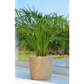  Einband 35,3 cm, Braun- und Beigetöne