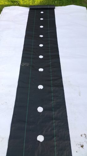  Agro-Walderdbeeren und Erdbeeren 0-0 cm