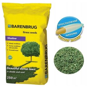    Dekogras, Grasmischung, für schattige Bereiche, Garten, Renovierung Barenbrug 250 m² 5 kg